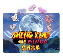 Sheng Xiao Bingo - BIROPAY28