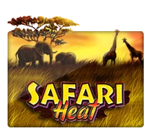 Joker123 : Safari Heat - BIROPAY28