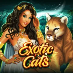 Exotic Cats - BIROPAY28