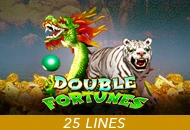 Double Fortunes - BIROPAY28