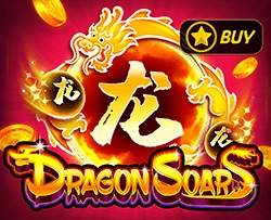 Dragon Soar - BIROPAY28
