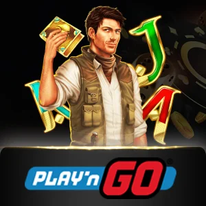 PlaynGo - BIROPAY28