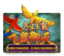 Bird Paradise - BIROPAY28