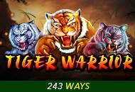 Tiger Warrior - BIROPAY28