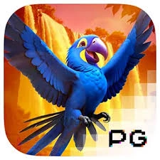 Wings of Iguazu - BIROPAY28
