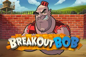 Breakout Bob - BIROPAY28