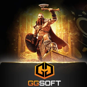 GGsoft - BIROPAY28