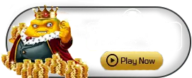 Taparoo - BIROPAY28