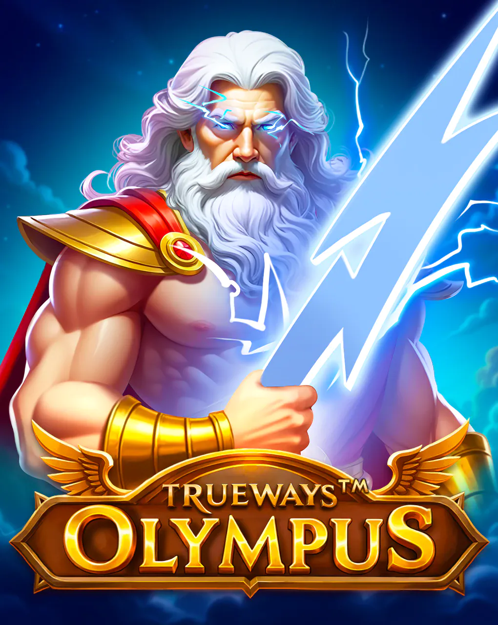 Olympus TRUEWAYS - BIROPAY28