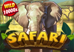 Safari - BIROPAY28