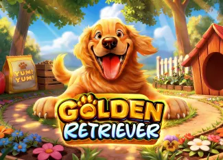 Golden Retriever - BIROPAY28