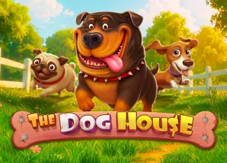 The Dog House - BIROPAY28