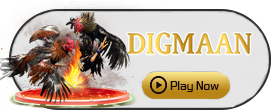 Digman - BIROPAY28